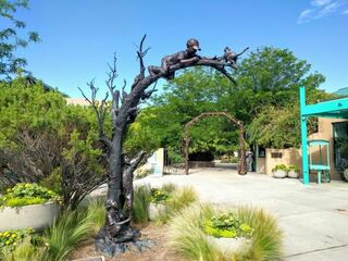 Albuquerque Botanic Garden, June 2017