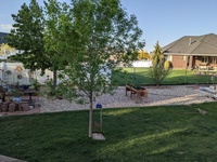 Landscaping Spring 2021
