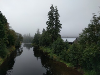 Willapa Hills Trail