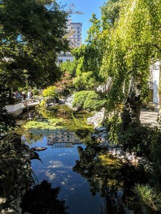Lan Su Chinese Garden, Fall 2018