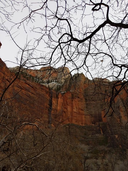 Zion