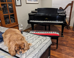 Jazzy`s Favorite Tune