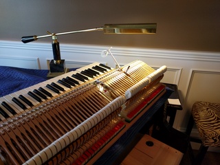 Grand Piano Regulation